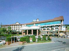 白樺リゾート池の平ホテル画像