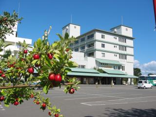 南田温泉ホテルアップルランド画像