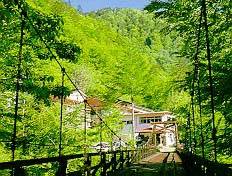 山水観湯川荘画像