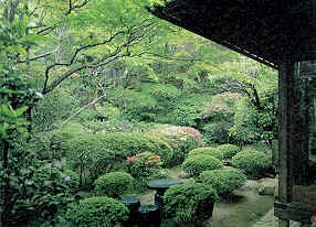 橋乃家別館嵐翠画像