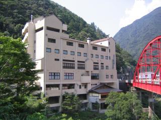 峡谷の湯宿大歩危峡まんなか画像