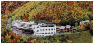 ホテル大雪 ONSEN & CANYON RESORT画像