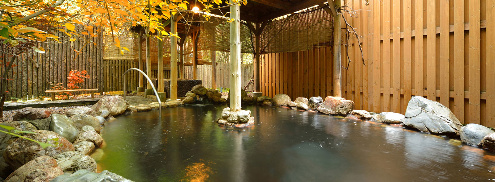Hotels in Tokyo, Ryokan and guesthouses